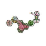 Set margele de calcat Beedz Art - Botanica cu placi hexagonale - imagine 4