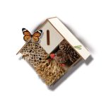 Set creativ - Hotel pentru insecte - imagine 2