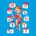 Puzzle pentru copii - Corpul Uman (61 piese) - imagine 4