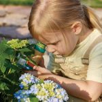 Microscop de jucarie pentru copii din bambus - imagine 5