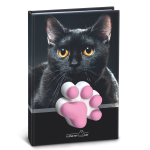 Agenda nedatata cu pisicute squishy pe coperta, 80 de pagini albe, 10 x 15 cm (12 buc/display) - imagine 4